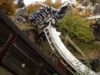 Barrel Roll