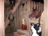 Singing Barn #2