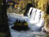 Rapids - waterfall #2