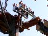 Treetops freefall #1