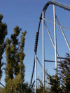 [Silver Star - first drop]