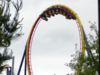 Mantis: vertical loop